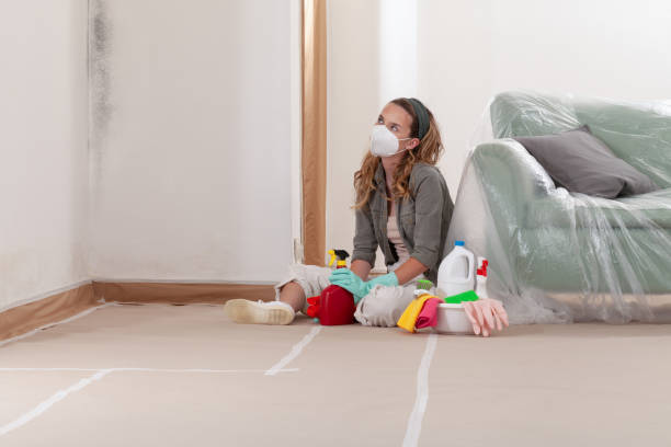 Reliable Mold Testing contractor in Baldwin, MD by WQB Mold Removal